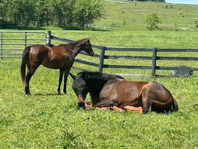 Riders at leaps and landings